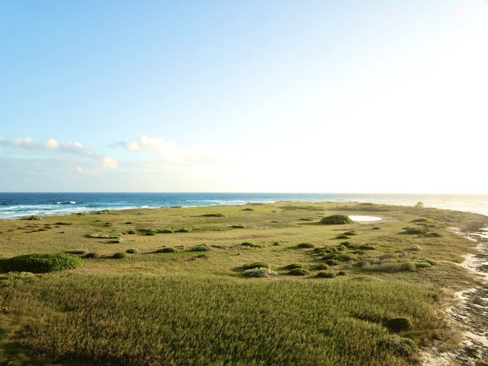 Bahamas_Realty's tweet photo. Nestled off the serene shores of San Salvador, Low Cay is an exclusive private island retreat of untouched beauty comprising 24.69 acres!
📍Low Cay, San Salvador, The Bahamas

List Price: 🏷️$1,100,000

Listing Agent: Lindsey Cancino

Learn more: https://t.co/6v5JmH9Y7R https://t.co/ZHAZ29ebsM