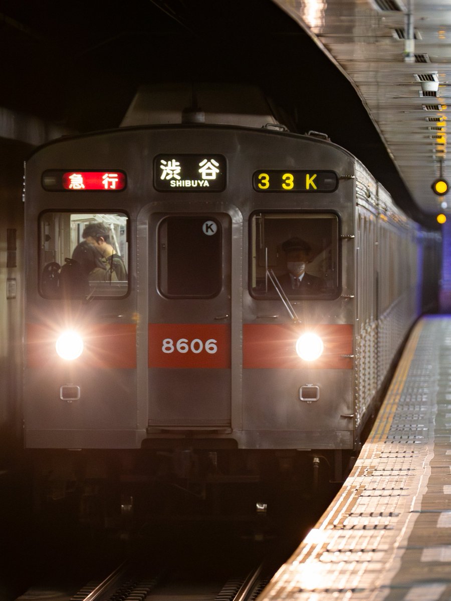 Lightroom再現像

AIノイズ除去の威力よ
8606Fの急行渋谷行きが美しくよみがえりました♪

やはりこの行先に方向幕に8500は美しすぎる……