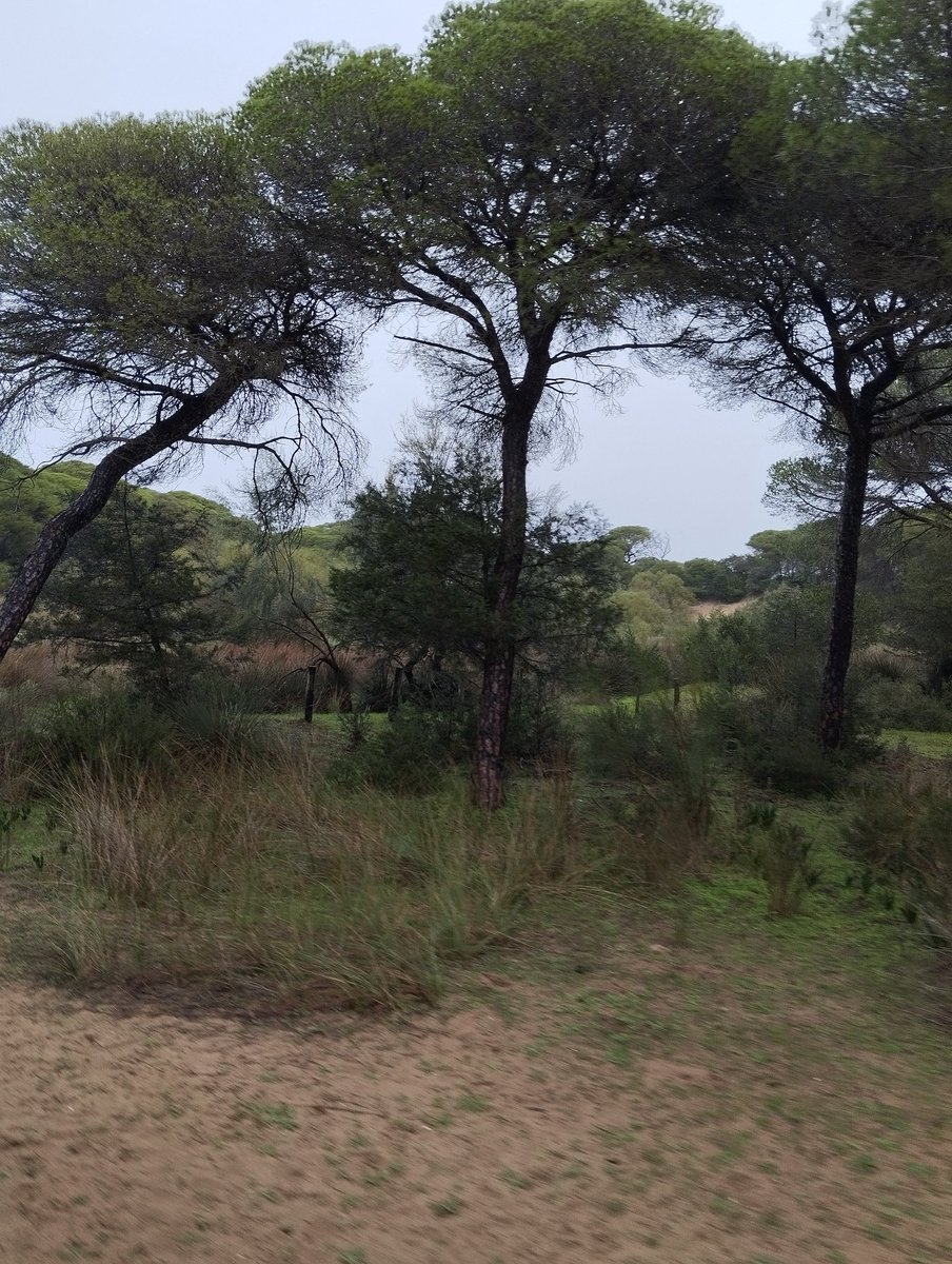 Naturaleza A 4 Voces
#IndustriAmbiente <a href="/industriambient/">IndustriAmbiente| Waste, Water, Energy - Infoedita</a> #IndustriAmbientePlanet 💙💚