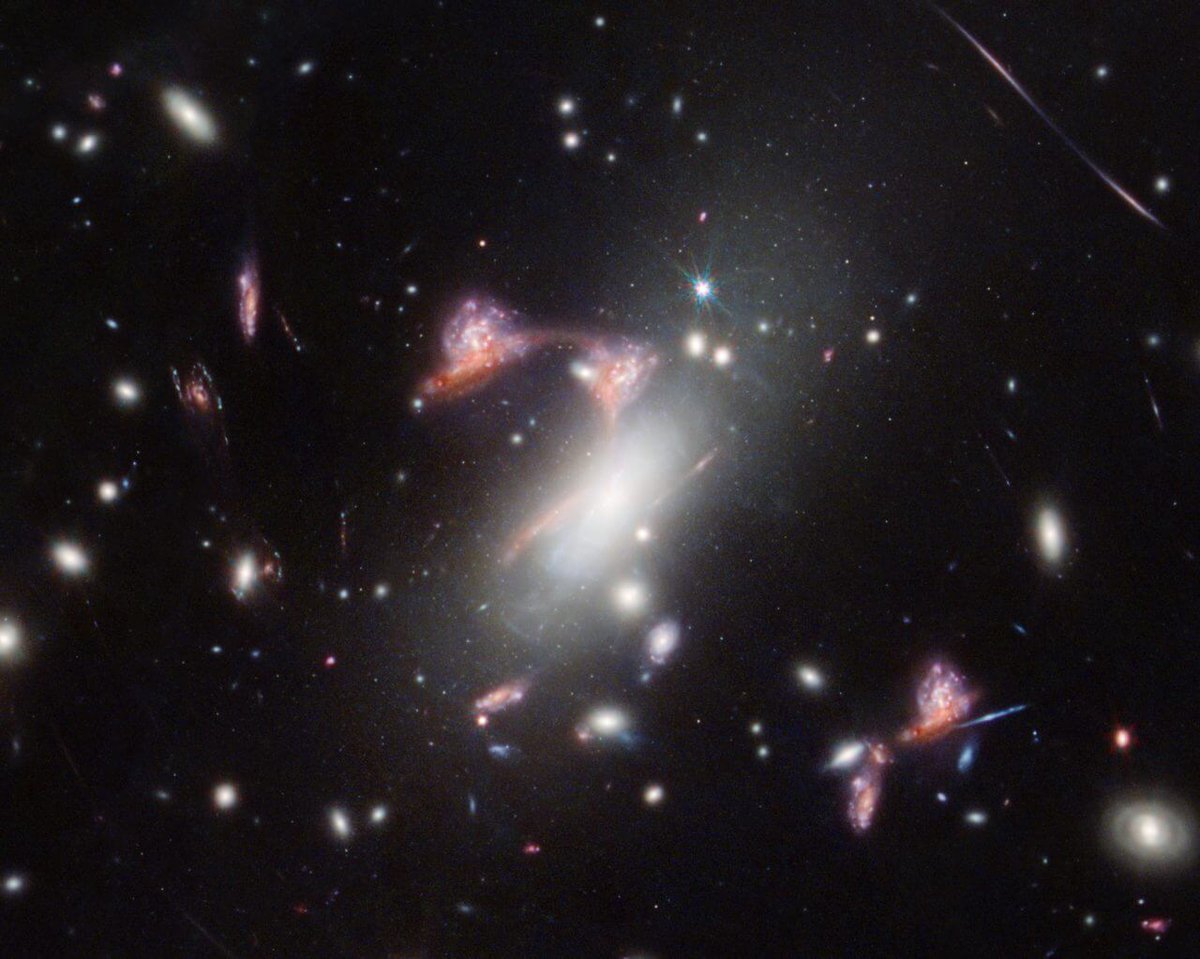 sorae_jp's tweet photo. 宇宙に「？」　重力レンズで遠方銀河の像が5つに分裂【今日の宇宙画像】
https://t.co/PV1dEw6Dgi

✅️画像の中央に「？」。アメリカの宇宙望遠鏡科学研究所（STScI）は「Cosmic Question Mark（宇宙のクエスチョンマーク）」と表現しています https://t.co/9Fwf9z19A0