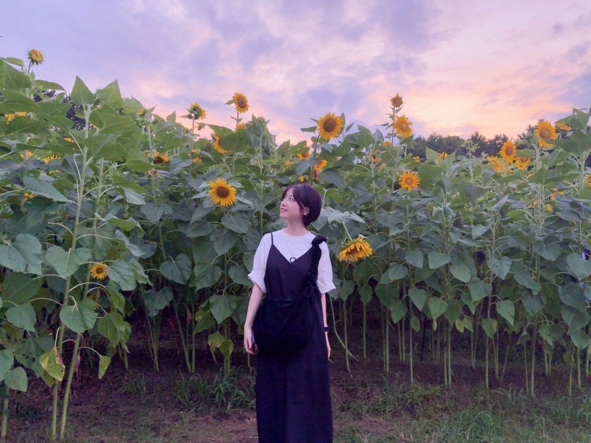 こんばんは☺︎
毎日暑い日が続いていますね。
みなさんお元気でしょうか？

世の中善か悪かという基準で見られる事がよくありますが、きっと正解なんて無いのだと私は思います。人の数だけ色んな考えがあって、色んな感じ方があって...
みんな違う個性がある、それが人間の魅力なのかな

🌻