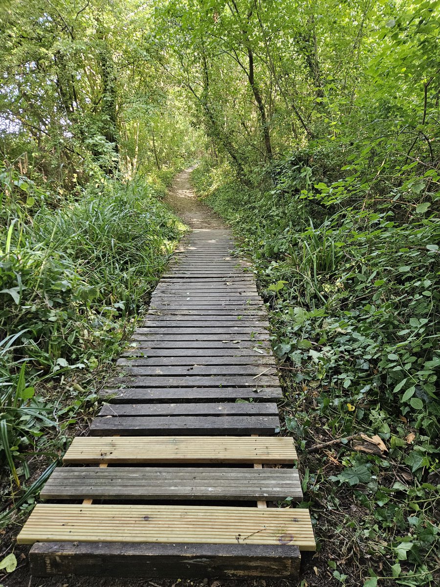 It was nearly 30oC in the sun, but in the shade it only felt like 29! This short stretch of footpath 225 leads from Huntsmans Drive to Cranham Marsh Nature Reserve, going behind the South Essex Crematorium. The space is much more accessible now, providing an important link from