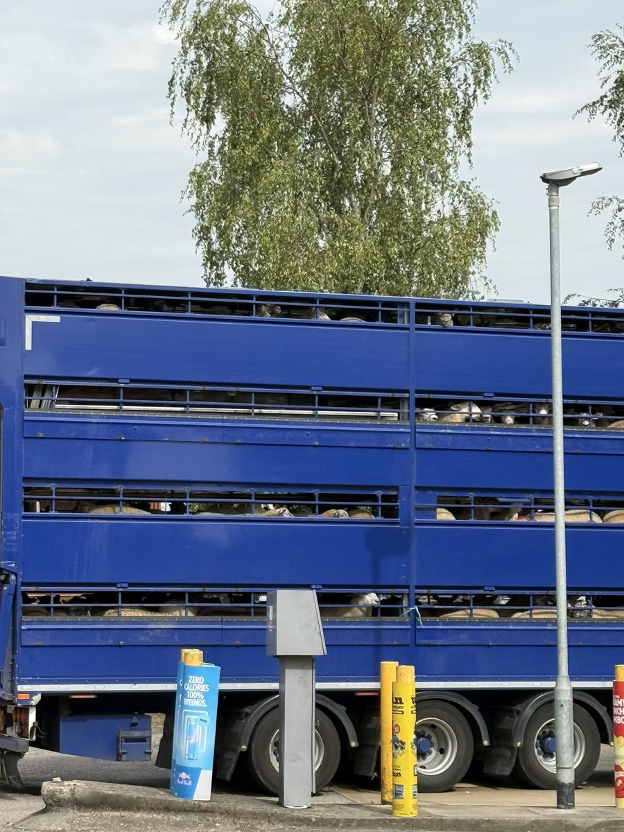 Becky Connolly tweet media