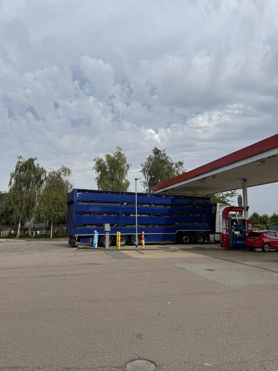 Becky Connolly tweet media