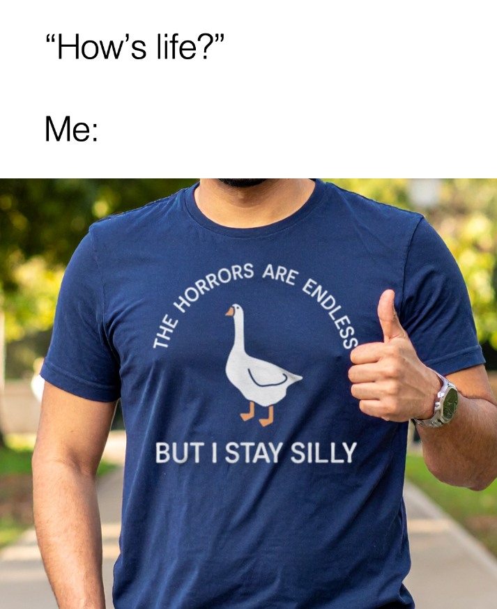 MensHumor's tweet image. Because life’s too short not to honk at the void. 🪿

Grab a shirt here: amzn.to/43rezU5