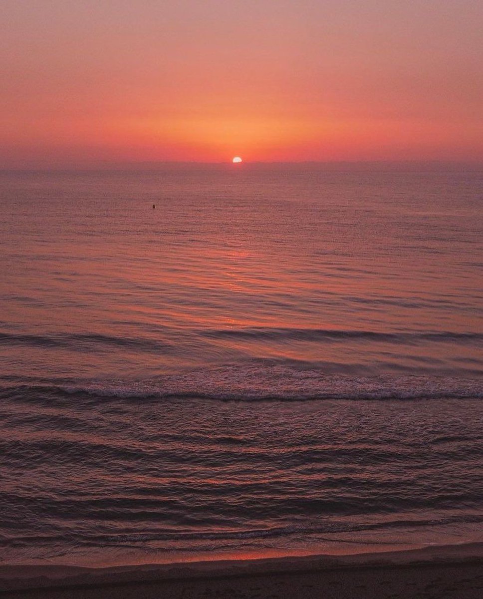 Aesthetics (@aestheticspost_) on Twitter photo 