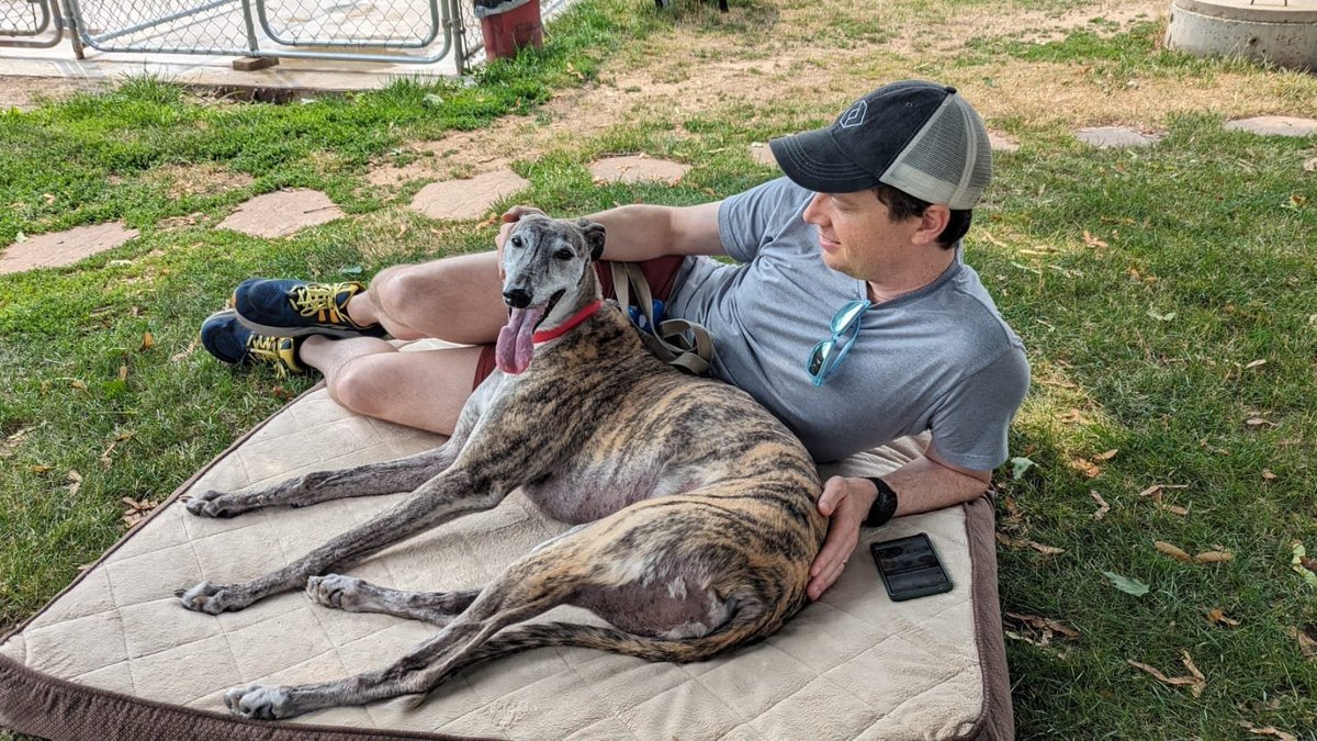 Brad Shapiro tweet media