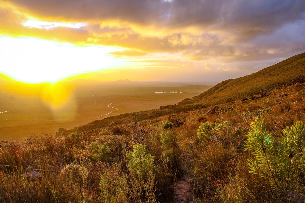 In the Tulbagh Valley, the pace is slow. The views are open. And the beauty around you has a way of settling into your soul.

For the solo traveller, the wellness seeker, or anyone in need of a deep breath, this is where you’ll find peace.

Discover more: tulbaghtourism.co.za