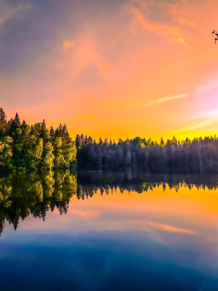 DiscoverFinland's tweet photo. A late Thursday afternoon selection of gorgeous lakeside, and riverside, reflection shots taken around Finland.

Photos shared on IG by  aulisorjonen, _janna.maria,  eiska61, and marileenan:

https://t.co/Tkq0s9HG9O https://t.co/OrTXFaxCv3