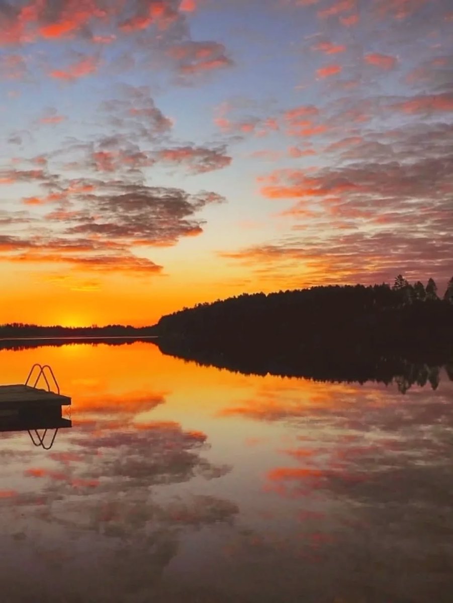 DiscoverFinland's tweet photo. A late Thursday afternoon selection of gorgeous lakeside, and riverside, reflection shots taken around Finland.

Photos shared on IG by  aulisorjonen, _janna.maria,  eiska61, and marileenan:

https://t.co/Tkq0s9HG9O https://t.co/OrTXFaxCv3