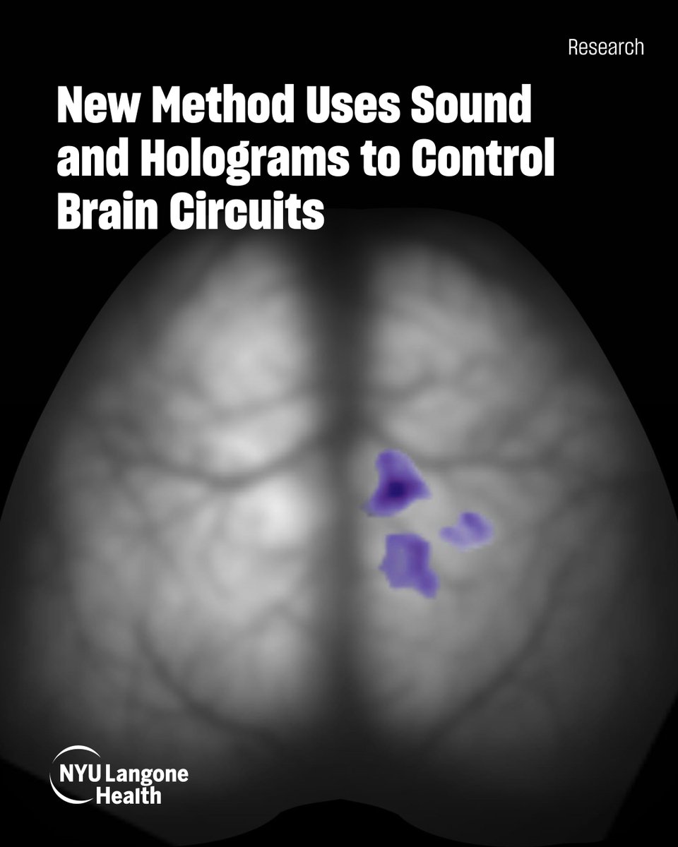 NYU Grossman School of Medicine tweet media