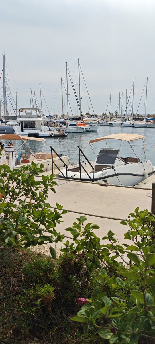 Se vienen cositas jijiji🔱