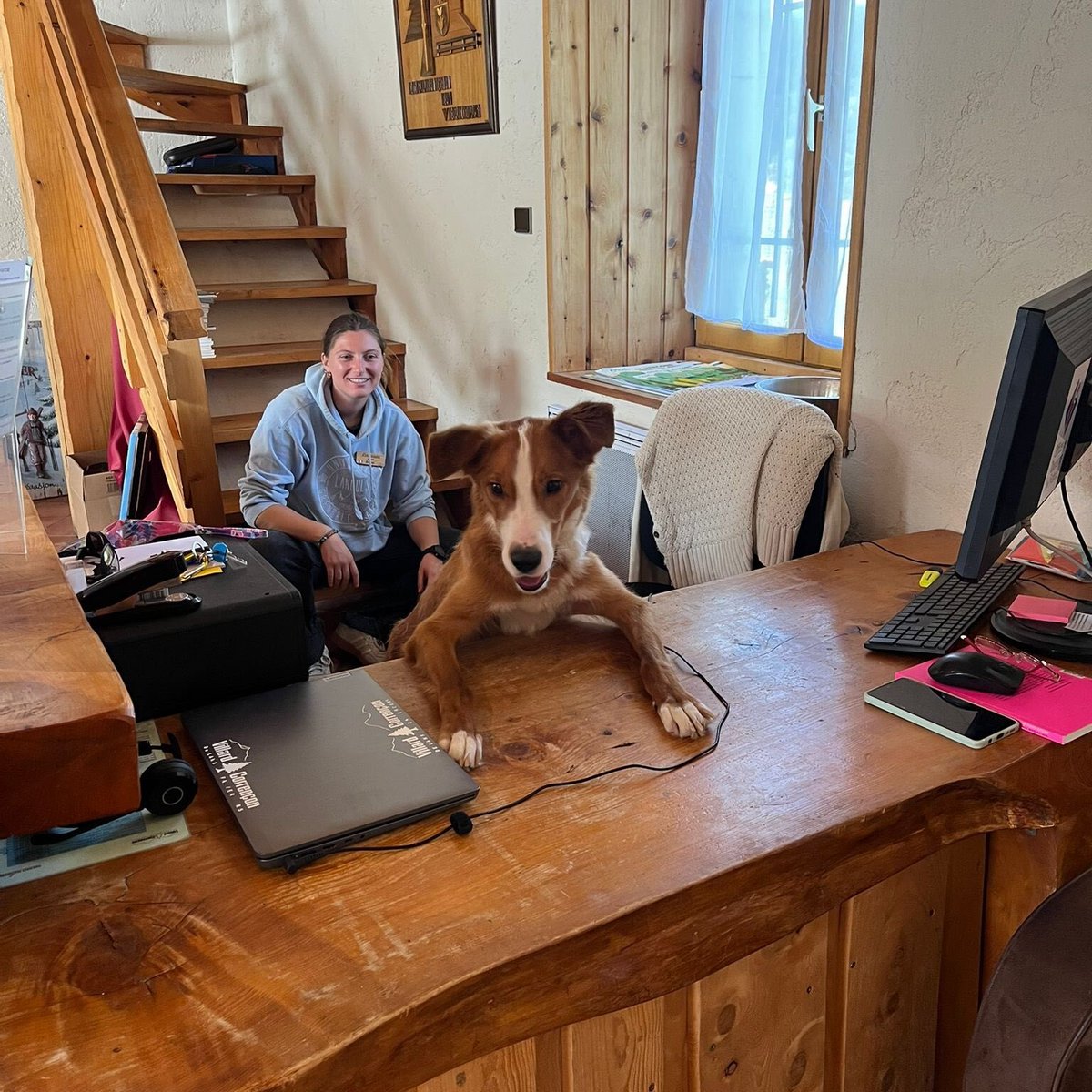 🇫🇷 Un jeune chien abandonné devenu mascotte d'un village après son adoption par une employée d’office de tourisme ! Laïko a vu sa vie bouleversée grâce à la solidarité de tout un village pour le remettre sur pied, alors que ses propriétaires l'avaient abandonné dans une forêt