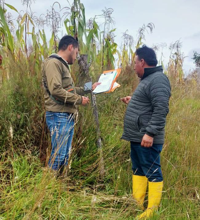 Agricultura_CZ7's tweet photo. #Loja | En el cantón #Chaguarpamba, técnicos de la Unidad de Tierras del #MAG realizaron inspecciones para avanzar en el proceso de adjudicación de predios rurales.
Con estas acciones, fortalecemos la legalización de tierras y garantizamos seguridad jurídica para las familias. https://t.co/deFcjCQw5T