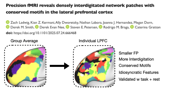 Zach Ladwig (@zach_ladwig) on Twitter photo Hi! Excited to announce that the major work from my PhD is out now on biorxiv!
(w. coauthors <a href="/kianzkermani/">Kian Kermani</a> , <a href="/allydworetsky/">Ally Dworetsky</a> , <a href="/nathanlabora/">nathan labora</a> , <a href="/joannajhern/">Jo Hernandez</a> , <a href="/RodBraga/">Rodrigo Braga</a> , <a href="/DerekEvanNee/">Derek Evan Nee</a> , <a href="/GrattonCaterina/">Caterina Gratton</a> + others)
biorxiv.org/content/10.110…
(1/18) Hi! Excited to announce that the major work from my PhD is out now on biorxiv!
(w. coauthors <a href="/kianzkermani/">Kian Kermani</a> , <a href="/allydworetsky/">Ally Dworetsky</a> , <a href="/nathanlabora/">nathan labora</a> , <a href="/joannajhern/">Jo Hernandez</a> , <a href="/RodBraga/">Rodrigo Braga</a> , <a href="/DerekEvanNee/">Derek Evan Nee</a> , <a href="/GrattonCaterina/">Caterina Gratton</a> + others)
biorxiv.org/content/10.110…
(1/18)