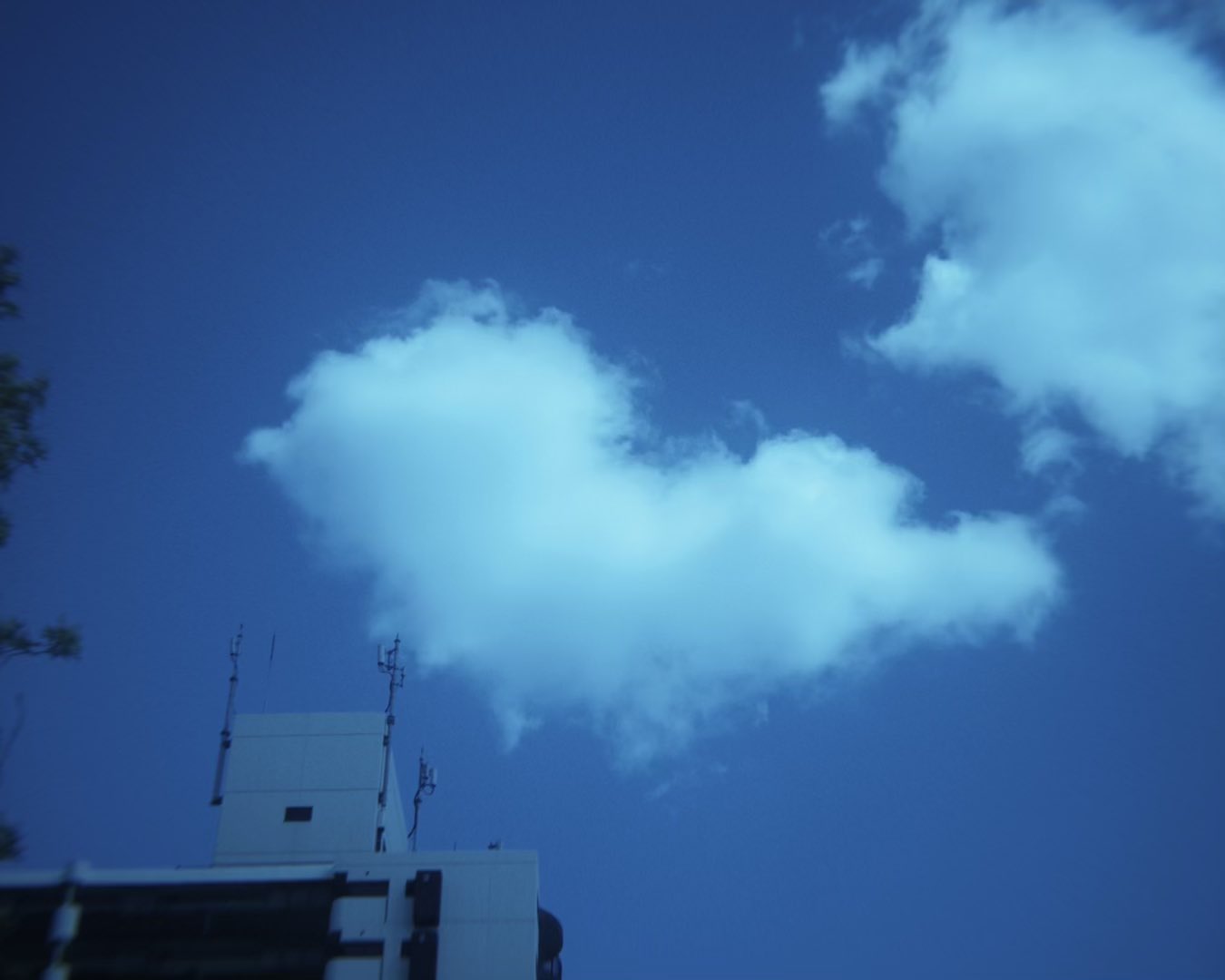リルパンダ 難波碧空 𝙇𝙄𝙇 𝙇𝙀𝘼𝙂𝙐𝙀 𝙇𝙄𝙑𝙀 𝙏𝙊𝙐𝙍 𝟮𝟬𝟮𝟰-𝟮𝟬𝟮𝟱