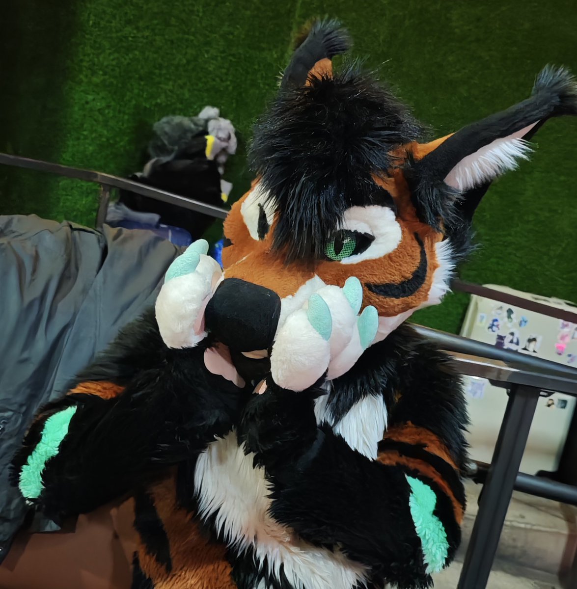 What did he just see?

📸: <a href="/MapacheCabron/">Borja Garcia</a>