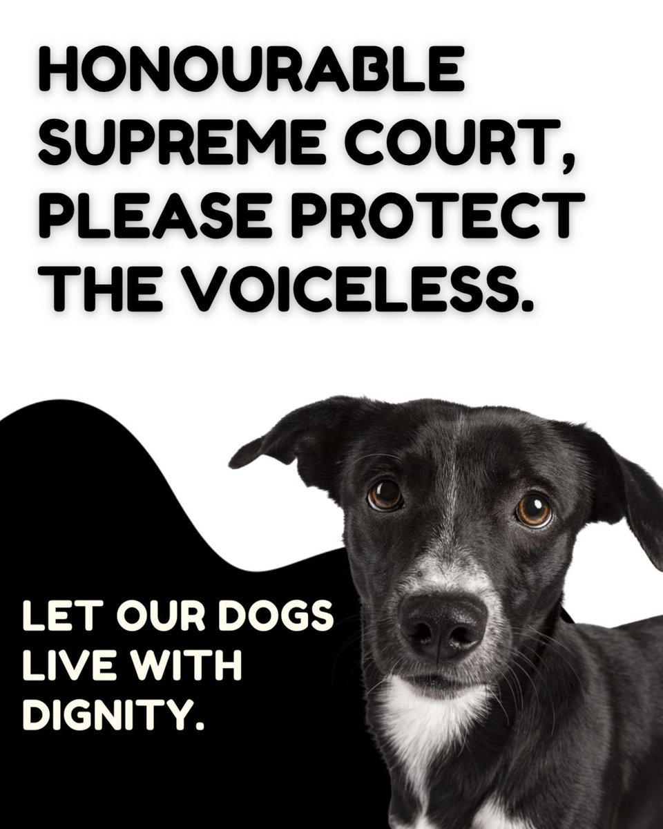 Nabarimad's tweet image. #SaveDelhiNCRDogs