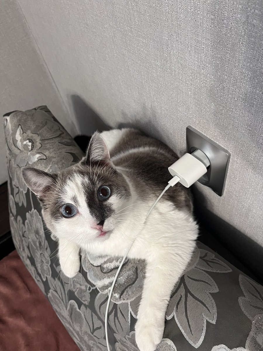 Корзиночка мооооййййй смотрите какой сыночка 😭
