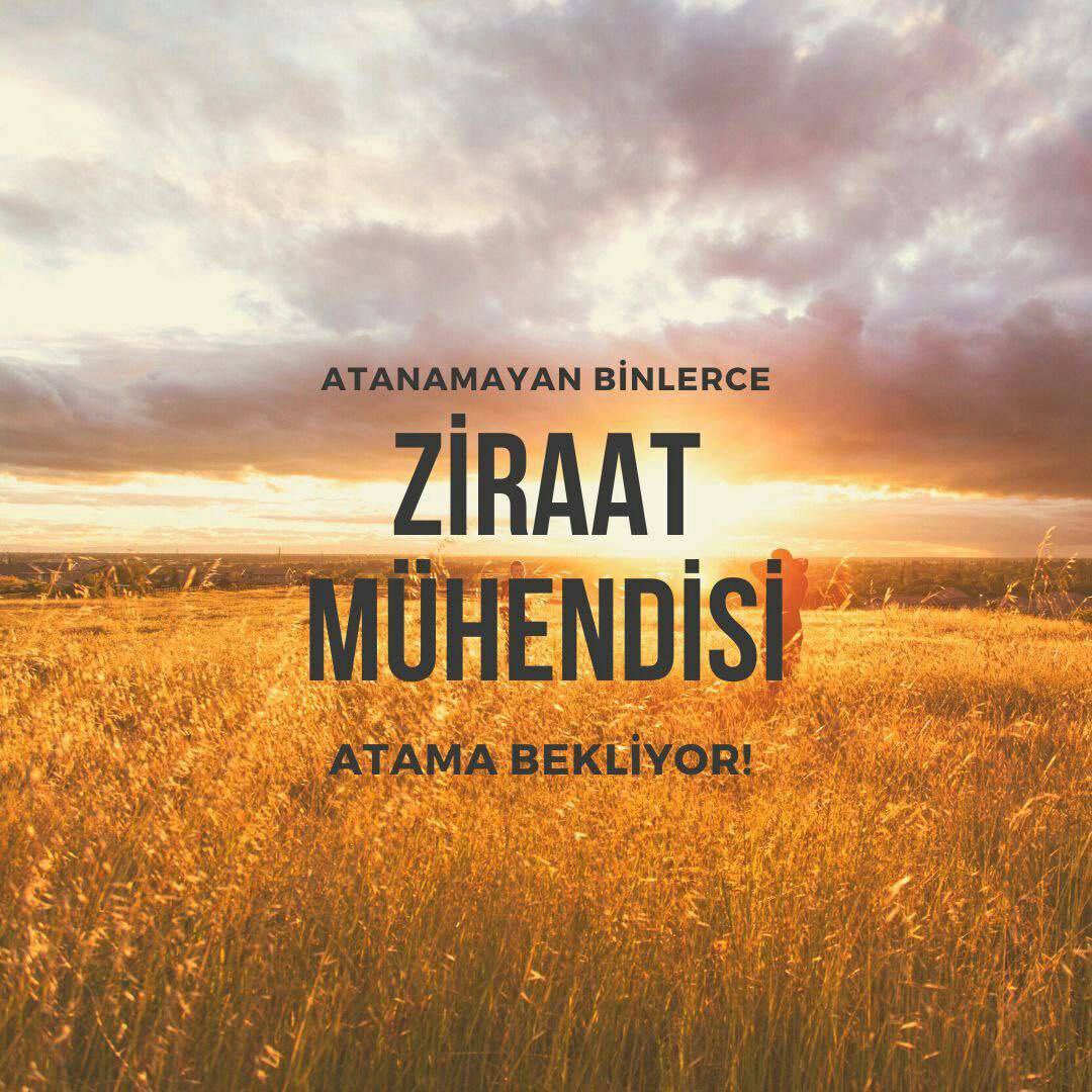 ARTAN NÜFUS, AZALAN TARIM ALANLARI VE GIDAYA OLAN TALEBİN HER GEÇEN GÜN ARTMASI  ZİRAAT MÜHENDİSLERİNE OLAN İHTİYACI HER GEÇEN GÜN ARTMAKTADIR.
<a href="/TCTarim/">T.C. Tarım ve Orman Bakanlığı</a> <a href="/ibrahimyumakli/">İbrahim Yumaklı</a> <a href="/ahmtbgc/">Ahmet Bağcı</a> <a href="/tarimormanpgm/">Personel Genel Müdürlüğü</a>
<a href="/Seyfullahaslntk/">Seyfullah Arslantürk</a> <a href="/bekirgizligider/">Ebubekir GİZLİGİDER</a> 
<a href="/AhmetGumen/">Ahmet GÜMEN</a>
<a href="/akadirpolat1/">Abdulkadir Polat</a>
#Tarıma2BinZiraatMüh