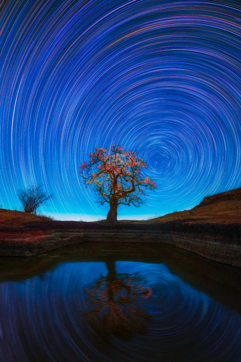 SanGovphotos's tweet image. NFT SOLD 🥳🥳🥳
&quot;Under The Silk Cotton Tree&quot; now in the vaults of 
@yianak1s . Thank you so so much
Let the Stars 🌟🌟🌟guide you

Under The Silk Cotton Tree
LE - 9.50 ꜩ
Link ⏬

Equipment - Nikon D500 + Tamron 17-50 f/4
A stack of 175 exposures