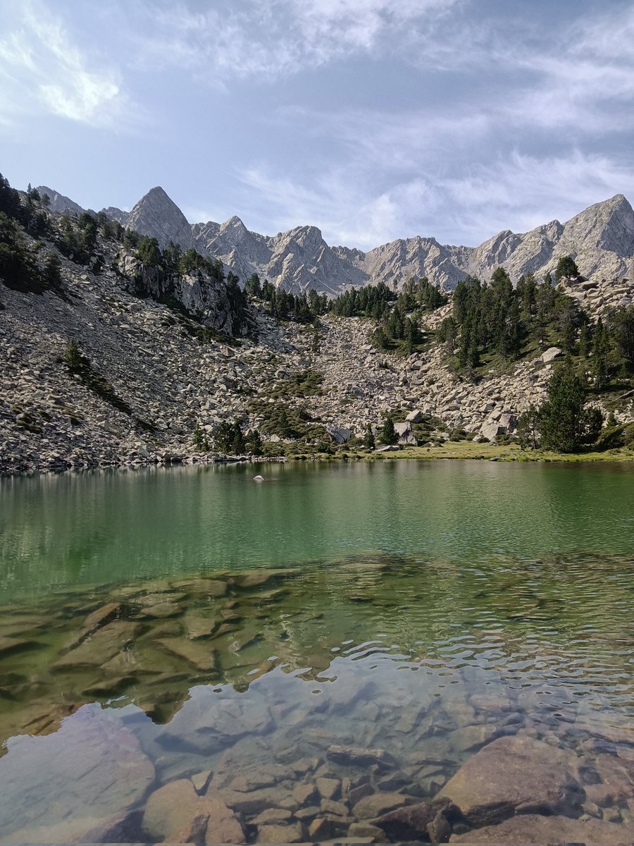 Ester Albert (@ester40and) on Twitter photo 