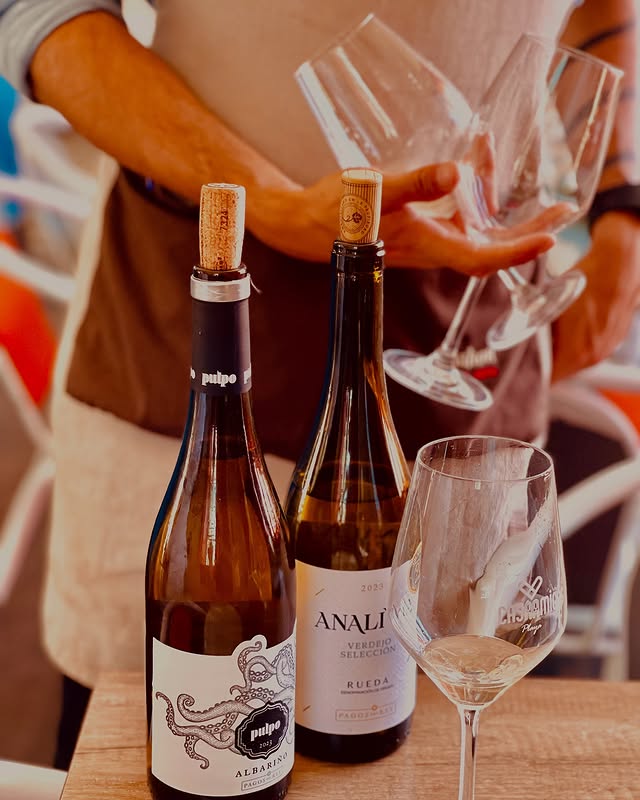 ¡El verano y los vinos blancos son la combinación TOP! ☀️ Refresca tus tardes en la terraza con la brisa marina del Pulpo Albariño o la vivacidad cítrica de Analivia Verdejo Selección.
2 opciones ideales para brindar por el buen tiempo ¿Cuál eliges hoy para tu copa de verano? 🥂