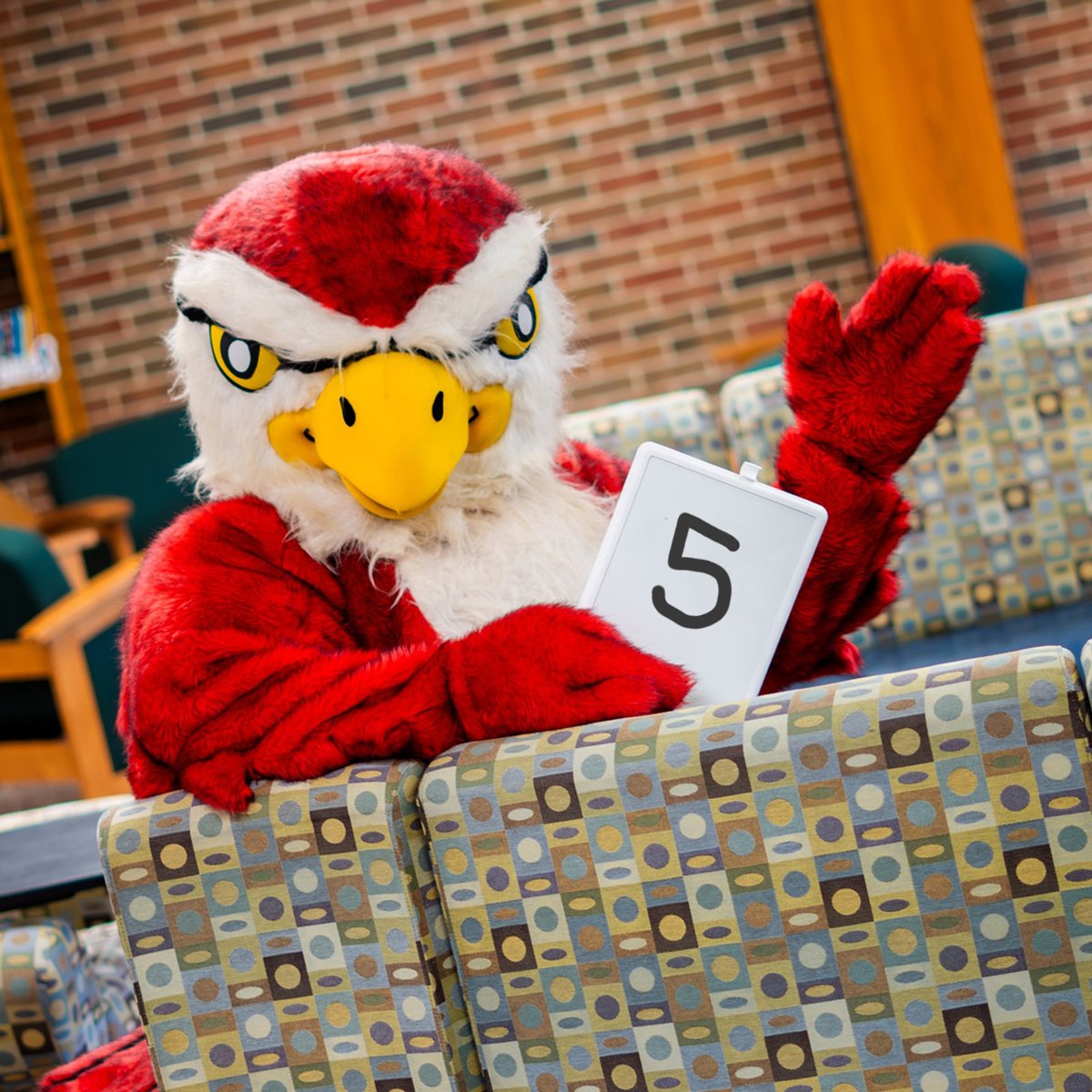 Freddy has been waiting ALL SUMMER to see his favorite Falcons again! Only five more days until classes start 😁