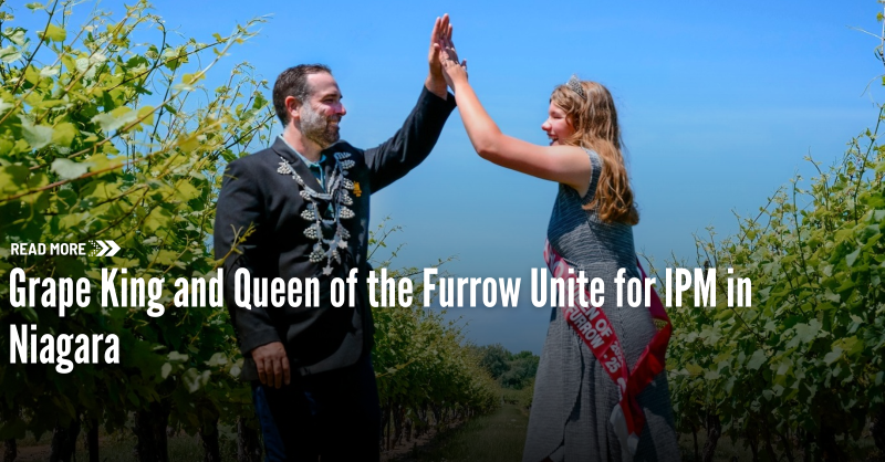 OntAg's tweet photo. A Royal Union...

Two #OntAg traditions came together in Niagara’s wine country. Jeff Duc, the Grape King, welcomed @taylorlegge_, the Ontario Queen of the Furrow, for a meeting, displaying shared values of excellence &amp; dedication. 

Details of the special event ⏬