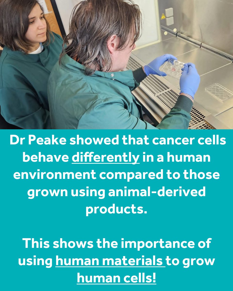 AnimalFreeResearchUK tweet media