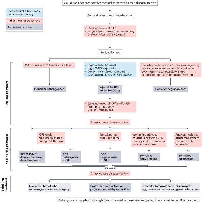 NatureRevEndo's tweet image. New content online: Consensus on acromegaly therapeutic outcomes: an update bit.ly/3Jff0JF