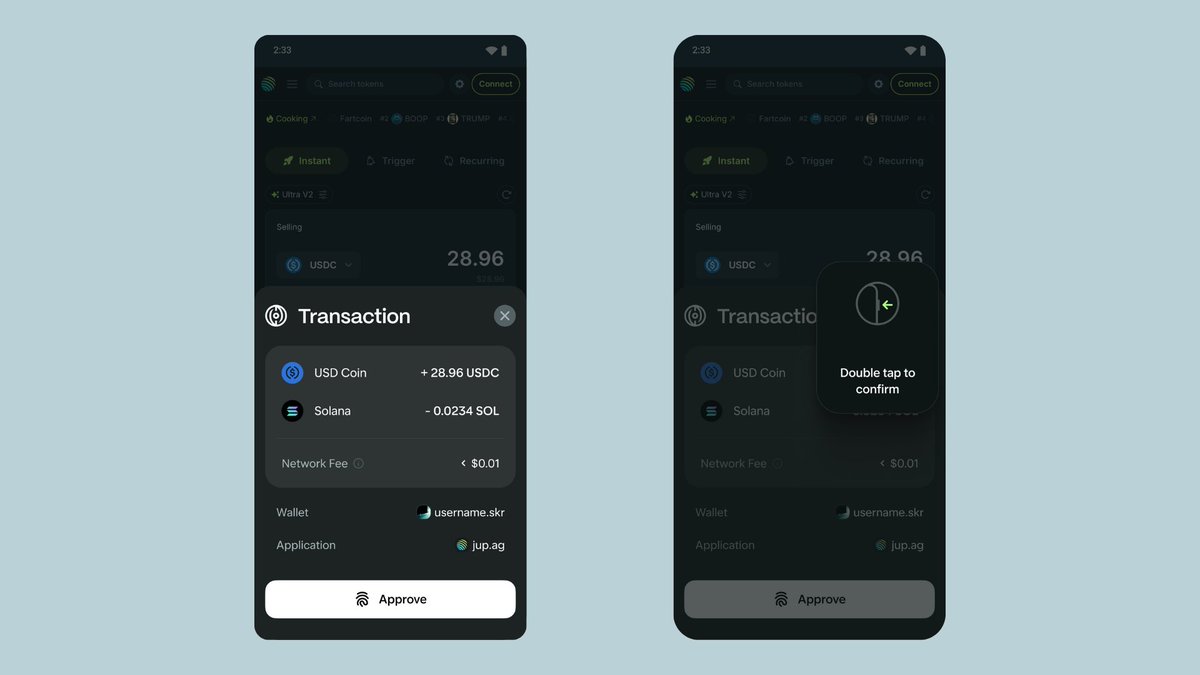 Seed Vault Wallet 기능 개요
