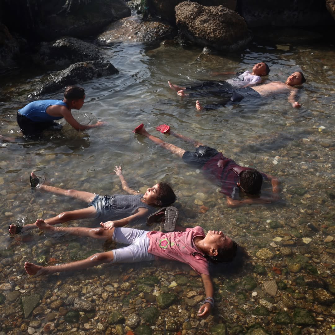 Muhammad Smiry 🇵🇸 tweet media