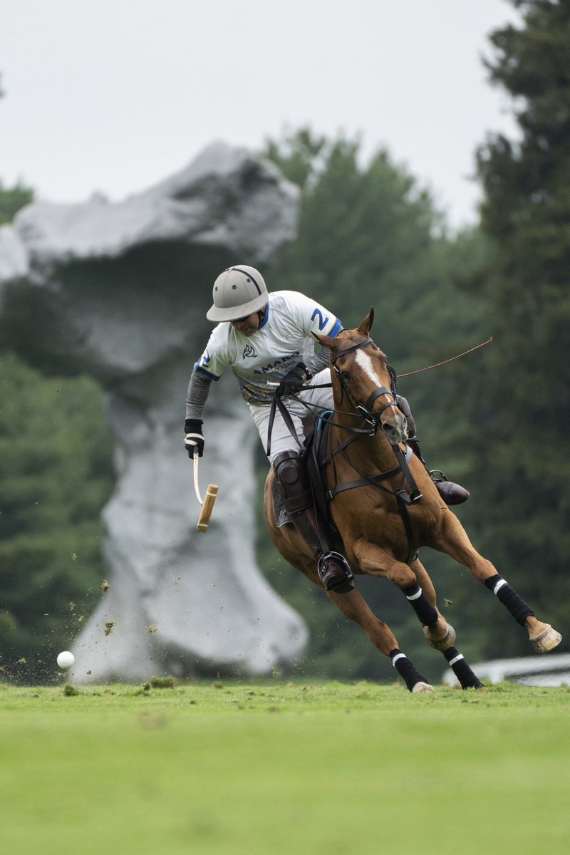 GreenwichPolo's tweet photo. Scenes in Greenwich 💚🐎 https://t.co/FcMb0udMef