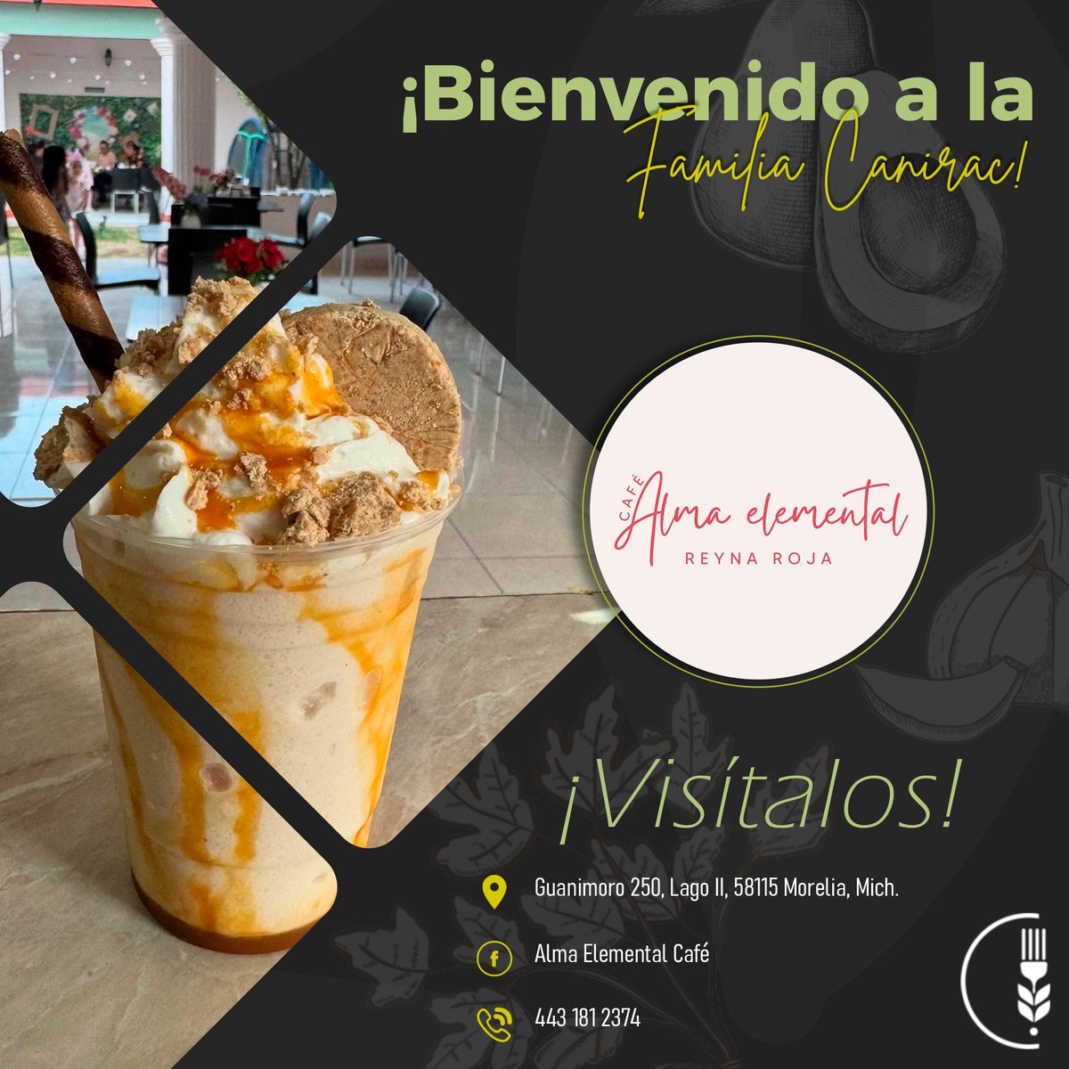 CANIRAC Michoacán tweet media