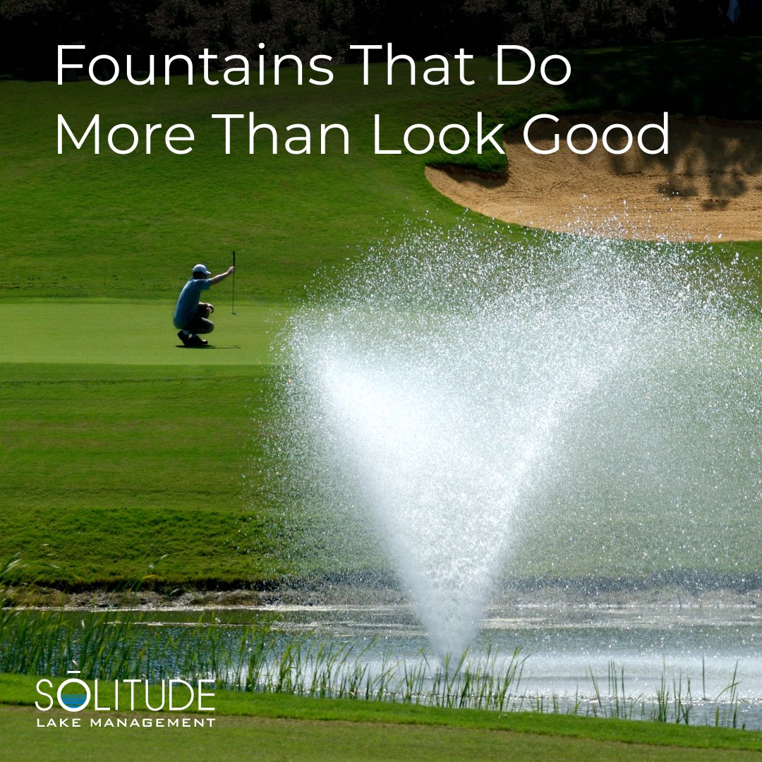 SOLitude Lake Management tweet media