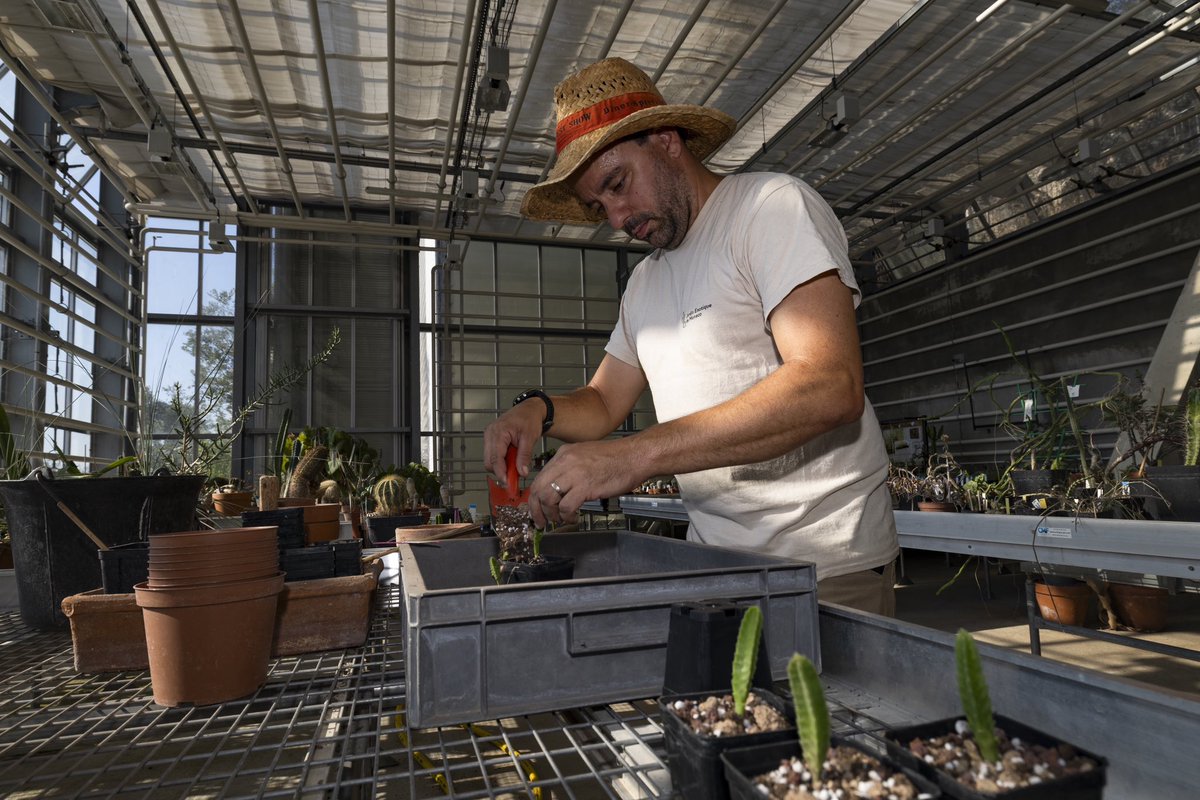 🌵À la découverte du Centre Botanique de Monaco 

Le Centre Botanique dévoile au public ses collections de cactées uniques. Il est possible de les découvrir librement du mardi au samedi, de 8h30 à 15h30.

Plus d’informations ce soir dans notre JT.