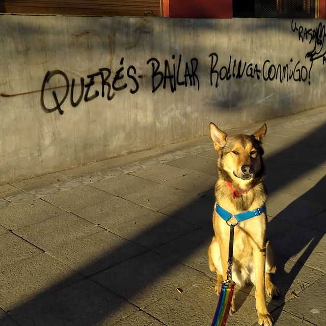 The Walking Conurban tweet media