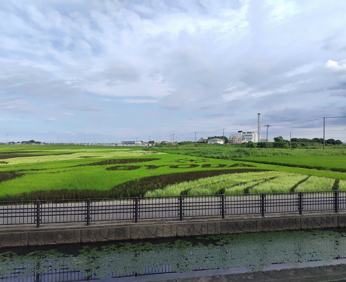 yipo121's tweet image. ちょっとだけ久々のお出かけ。
ぎょーだタワーと、覗き見したけど、ほとんどわからない、田んぼアート。
