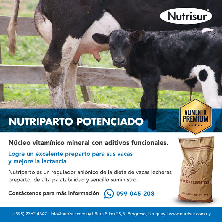 𝐍𝐮𝐭𝐫𝐢𝐩𝐚𝐫𝐭𝐨 𝐏𝐨𝐭𝐞𝐧𝐜𝐢𝐚𝐝𝐨 es el compacto nutricional perfecto para asegurar una buena producción lechera desde el preparto de sus vacas 🐄💪🏼