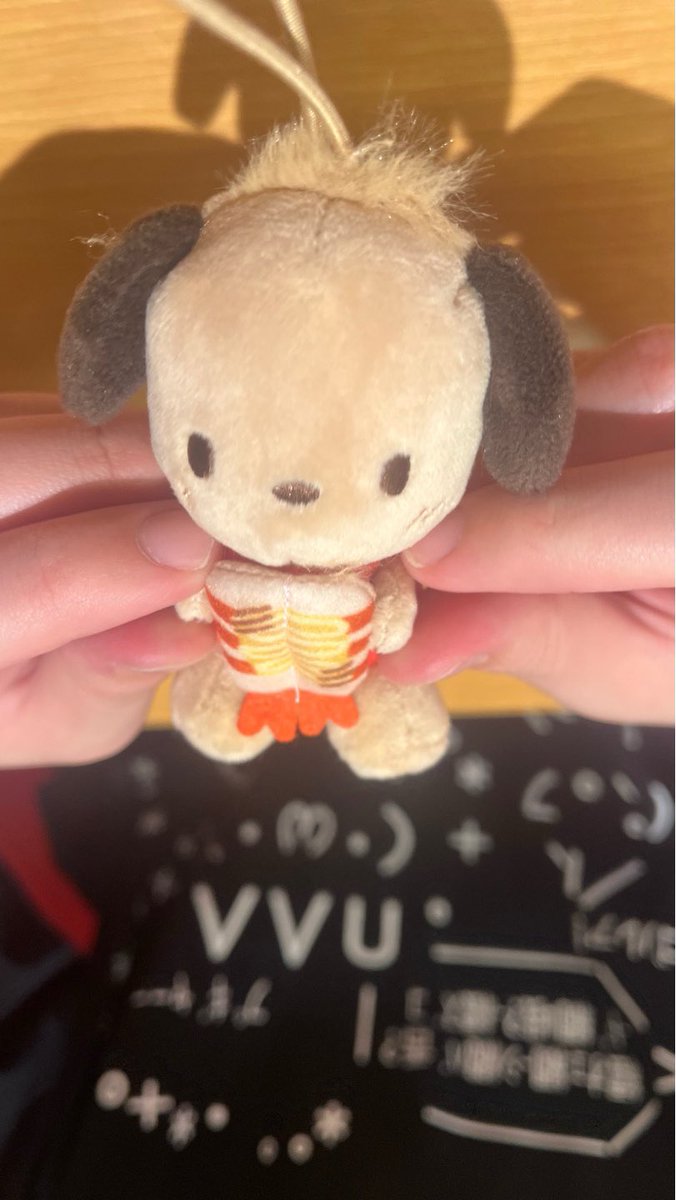 チズエビ日焼けぽちゃこ