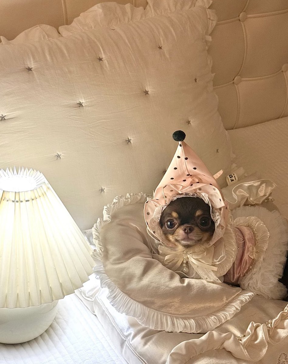twaniimals's tweet photo. https://t.co/XlkCzk3Yh6