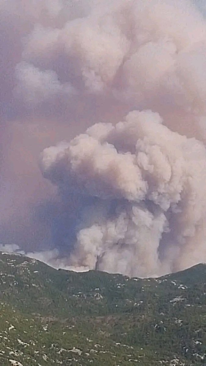 امتداد حرائق جبال الغاب لتصل إلى جبال جبلة جبال جبلة تحترق والشباب يحاولون اطفائها بسواعدهم ومناشدات لتدخل الطيران والدول المجاورة💔