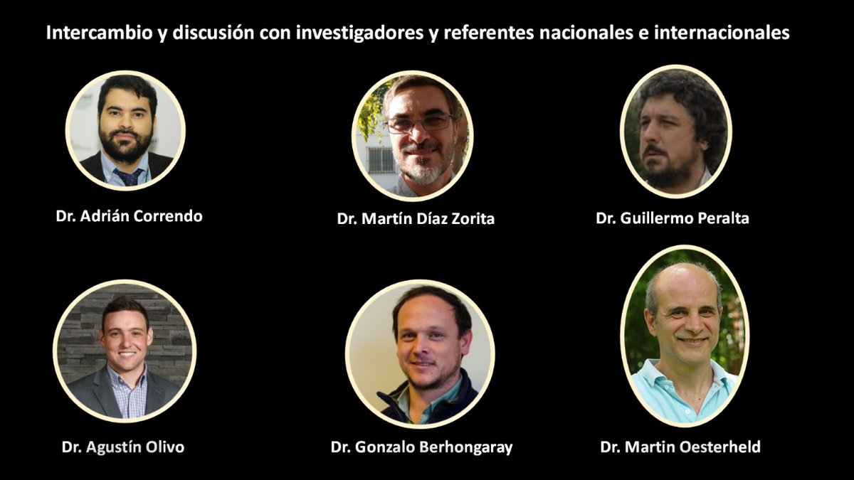 Nahuel Reussi Calvo tweet media