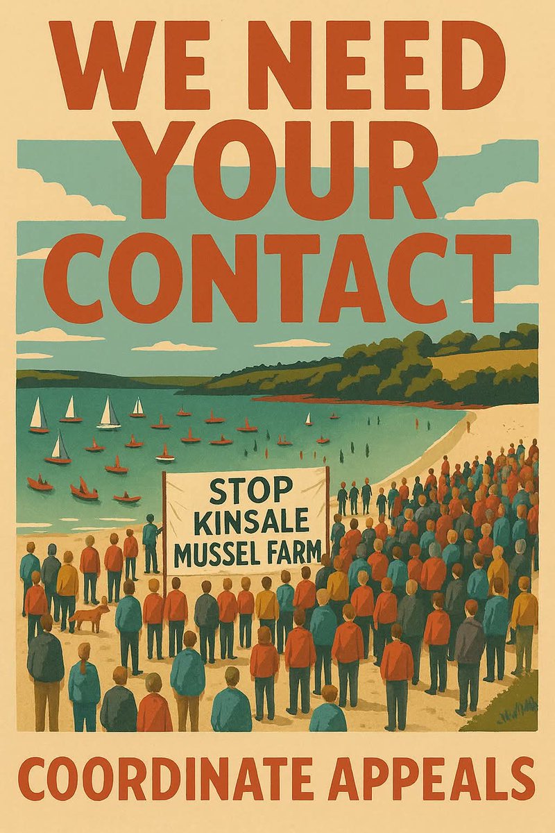 Kinsale Life 🇮🇪🇺🇦 tweet media