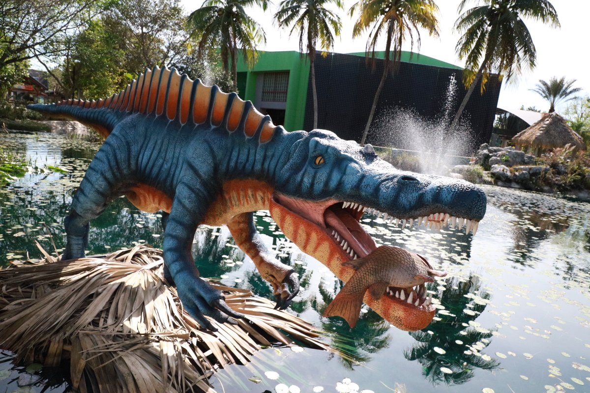🚨 EXTENDED: Due to popular demand, Dinos Among Us will now stay at #ZooMiami through September 30th 🦖✨ Catch the roars before they go extinct (again)! Learn more here: bit.ly/4gh330Q