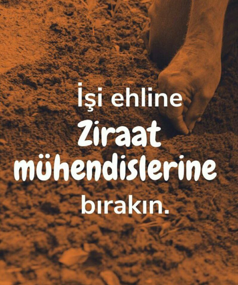 ase_eroglu's tweet photo. TARIM, ÜLKENİN GELİŞİMİ İÇİN İLK BASAMAKTIR. GENÇ ZİRAAT MÜHENDİSLERİ OLARAK SAHADA YER ALARAK İŞİMİZİN BAŞINDA OLMAK İSTİYORUZ. 
@TCTarim @ibrahimyumakli @ahmtbgc @tarimormanpgm
@Seyfullahaslntk @bekirgizligider 
@AhmetGumen
@akadirpolat1
#Tarıma2BinZiraatMüh https://t.co/aV8LFfZODR