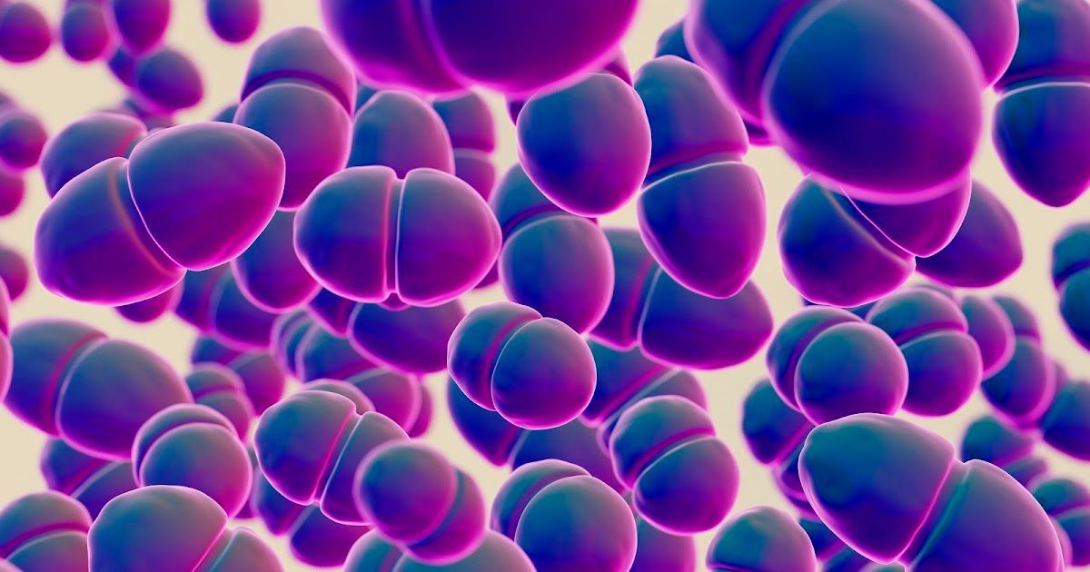 AutoimmuneList's tweet image. Find out what researchers have recently uncovered about a specific group of immune cells called CD226+ B cells, which may play a big role in how Sjogren's develops and affects your body. #Sjogren's #autoimmuneResearch 
buff.ly/pKWS3py