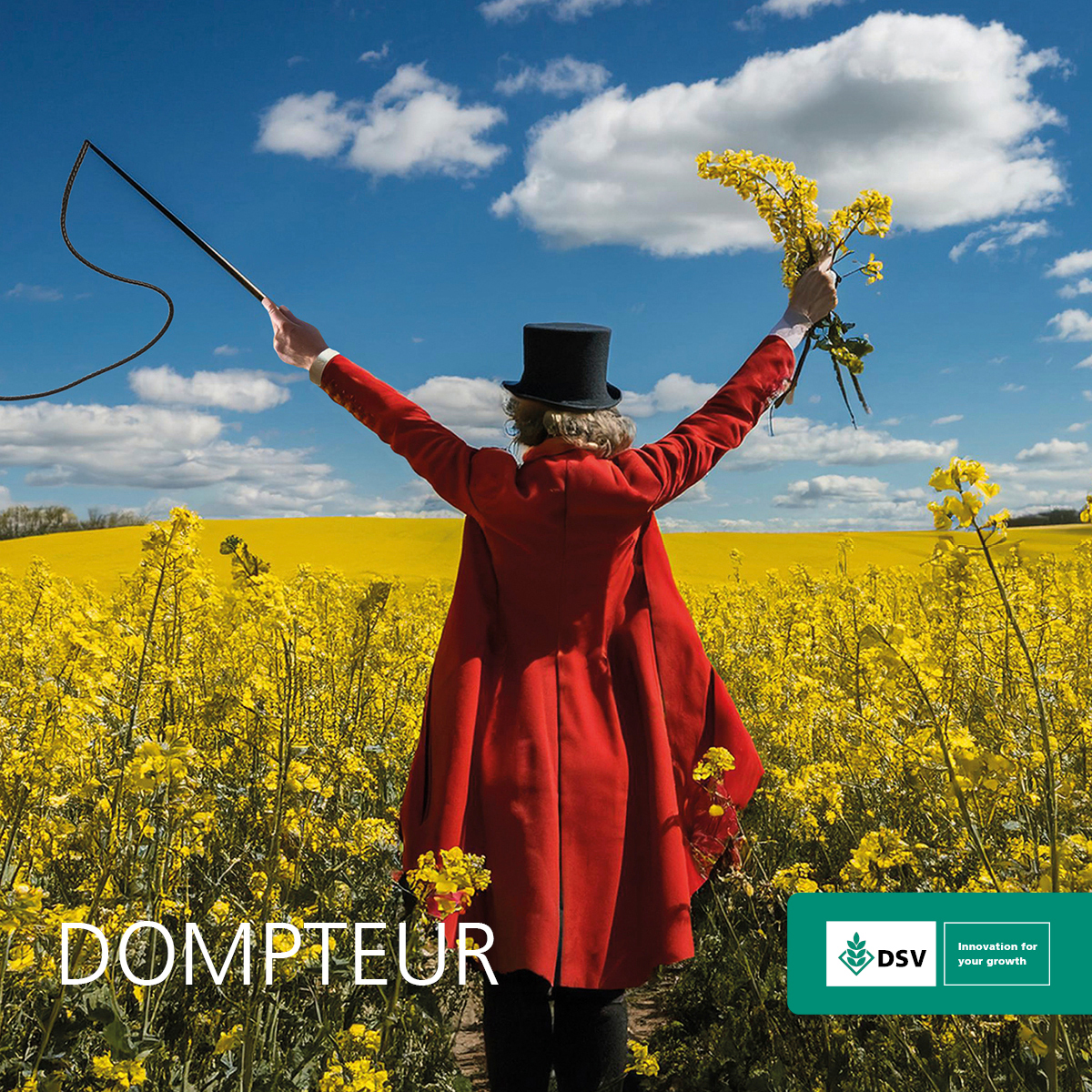 🦁🦁Dompteur - The Lion Tamer 🦁🦁
🔴 The highest-yielding variety on the new Candidate List 25/26
🔴 Combines two complex Phoma resistance genes, RLMS and RLM7
🔴 Robust disease protection package - 8 For LLS 
🔴 Excellent compensation abilities  
🔴 Pod shatter resistance