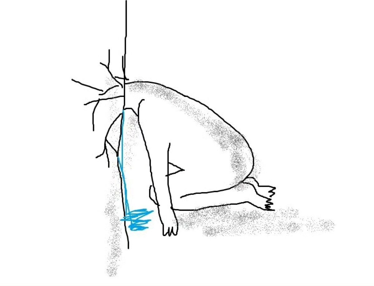 ms paint sticks tweet media